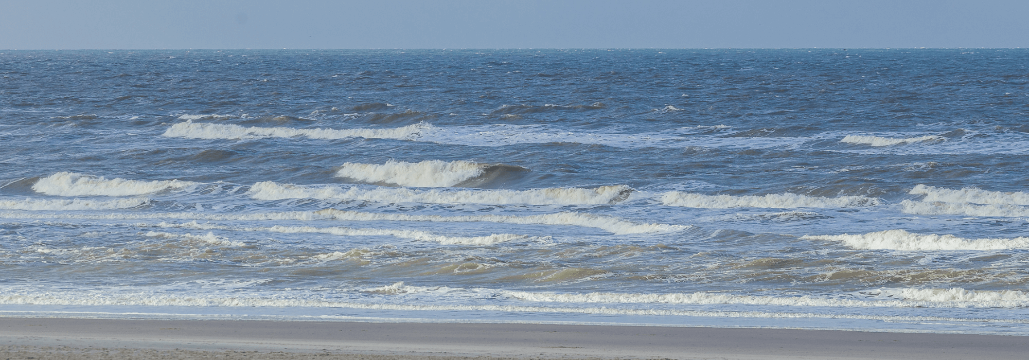 Spiegelhart | Teamontwikkeling